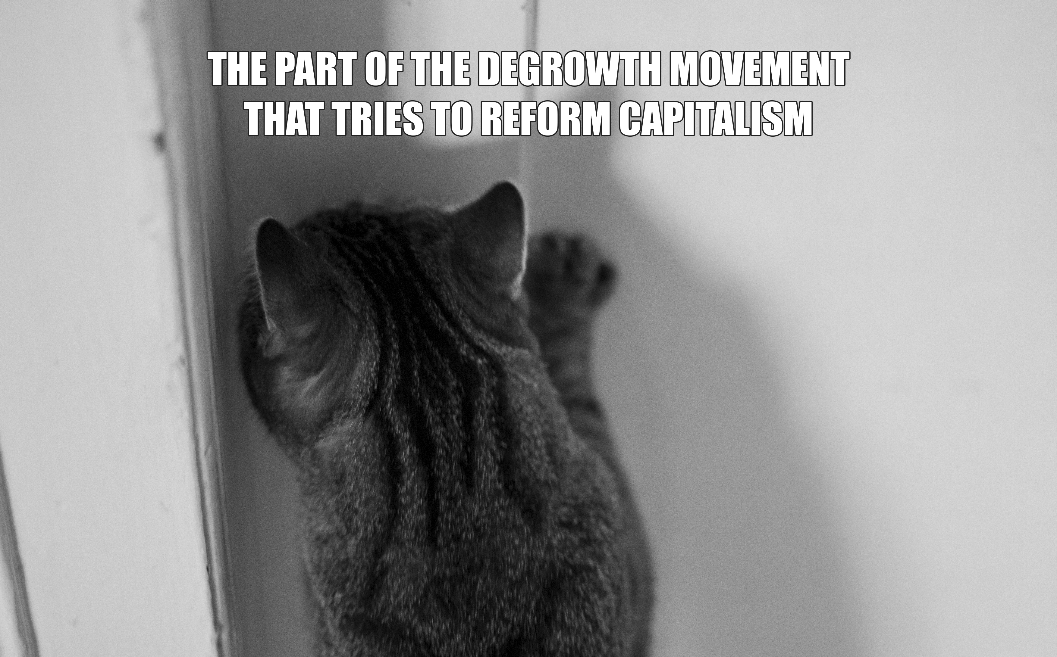 Reform Capitalism